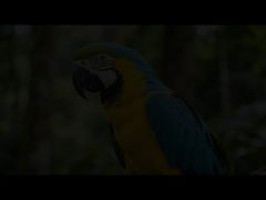 Mini90 night vision 4K Video with Compass