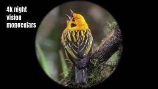 กล้องมองกลางคืนคุณภาพสูง 4K