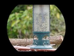 วิดีโอ 4K Mini91 กล้องมองกลางคืนแบบตาข้างเดียว