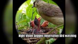 Hondigi 4K Night Vision Goggles Observation การดูนกการสังเกตกลางแจ้ง