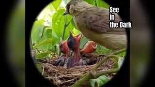 การสังเกตการณ์ด้วยแว่นตา Night Vision Hondigi